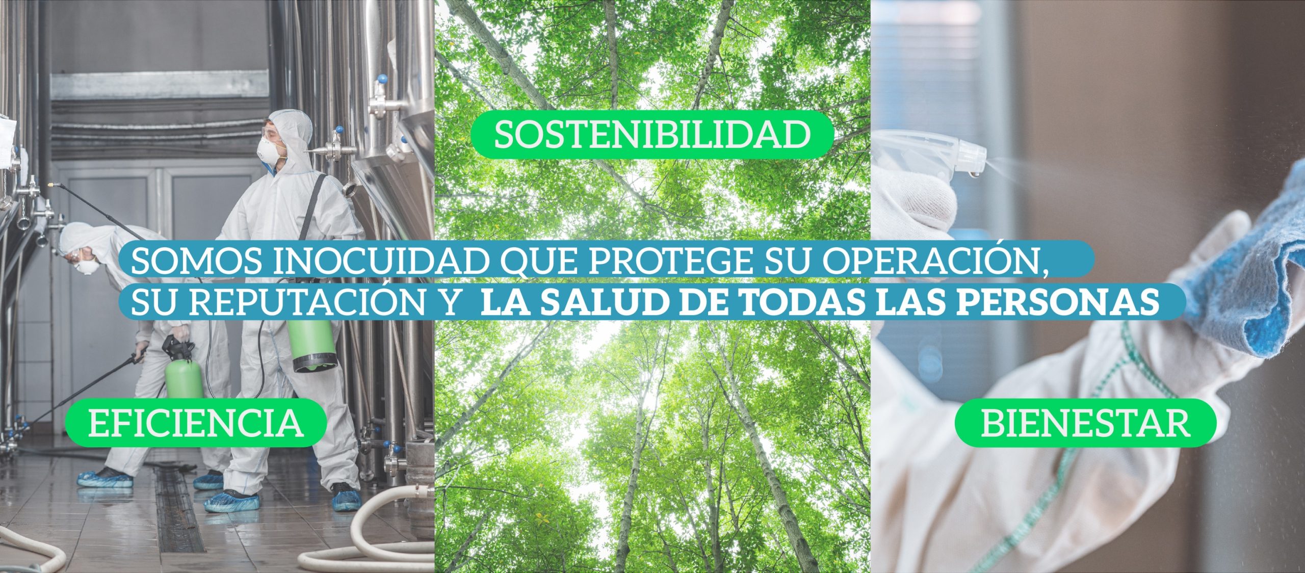 Sostenibilidad e Innovación en la Industria Alimentaria: Un Camino Inseparable