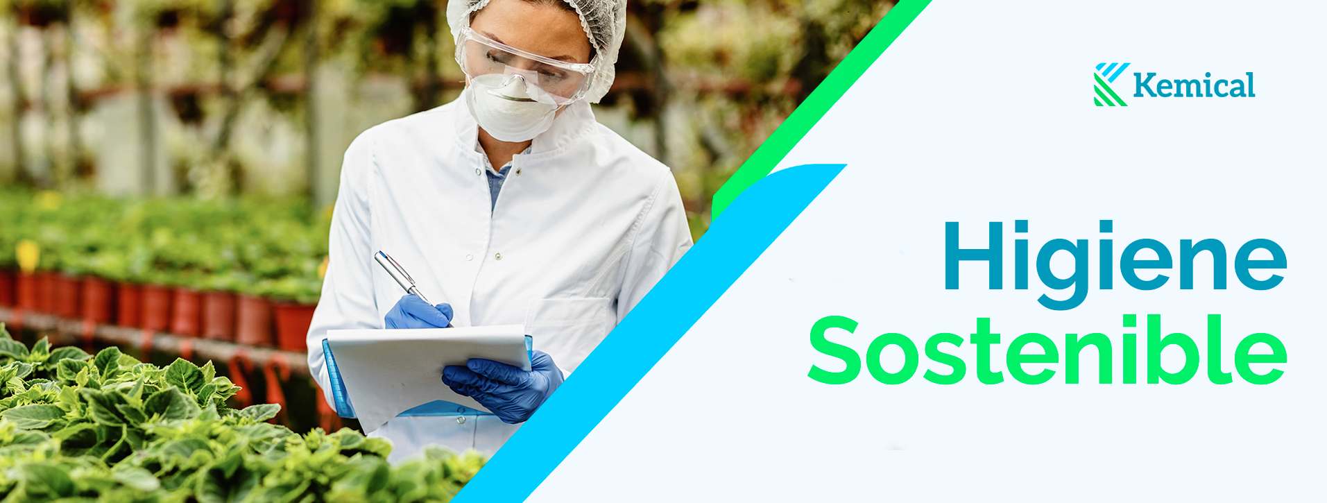 Higiene sostenible en la industria alimentaria: más allá de la limpieza